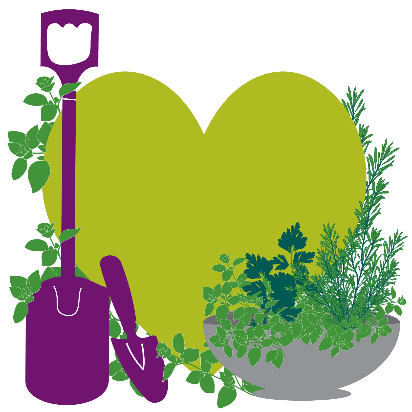 Millbrook Growers: Gardening for Wellbeing Gravesend 